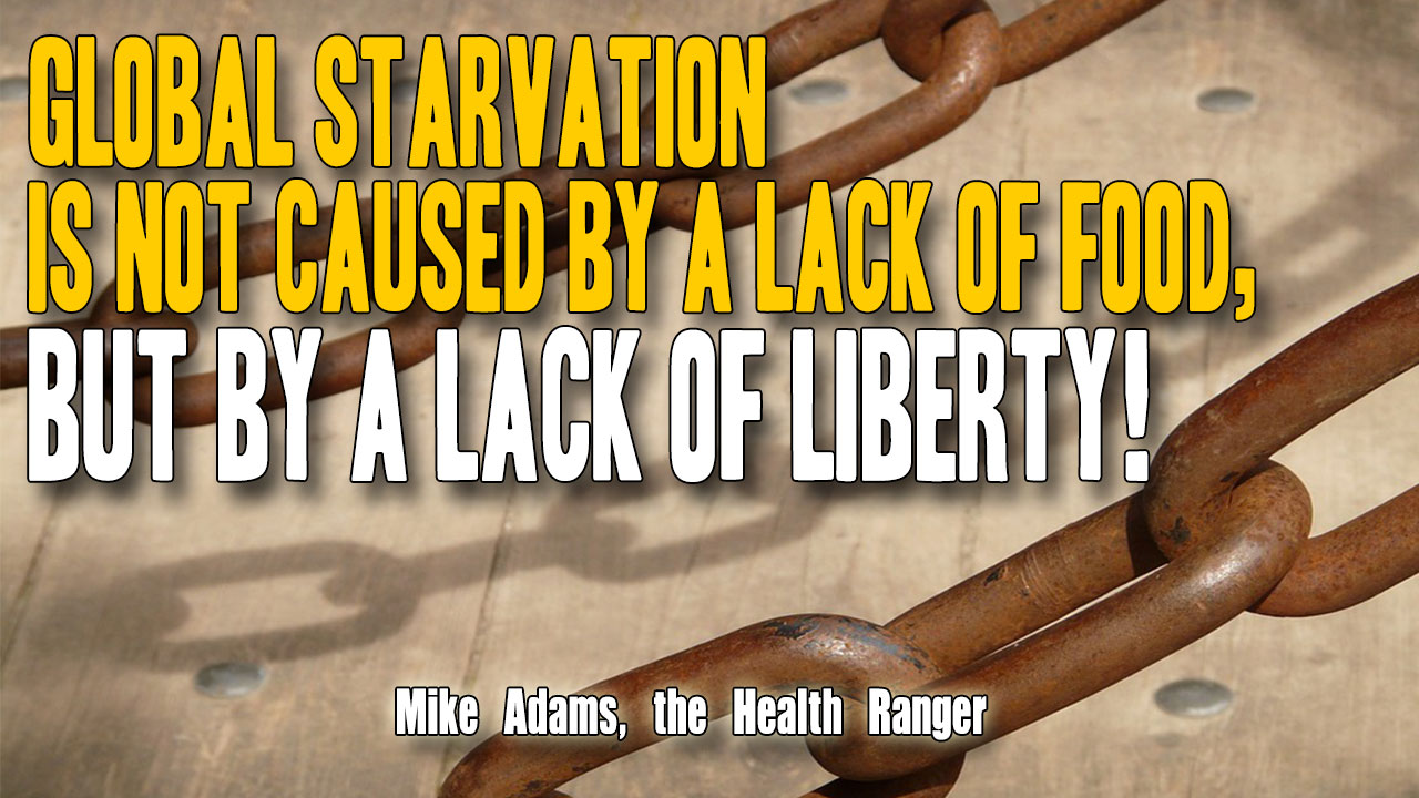 Global starvation is not caused by a lack of food, but by a lack of LIBERTY! (Audio)